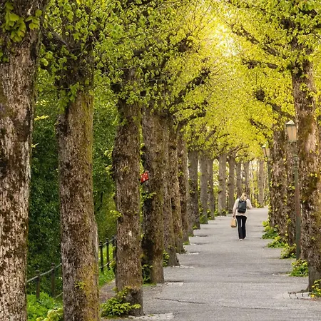 Dinbnb I Cozy Vibe In Idyllic Surroundings Appartement