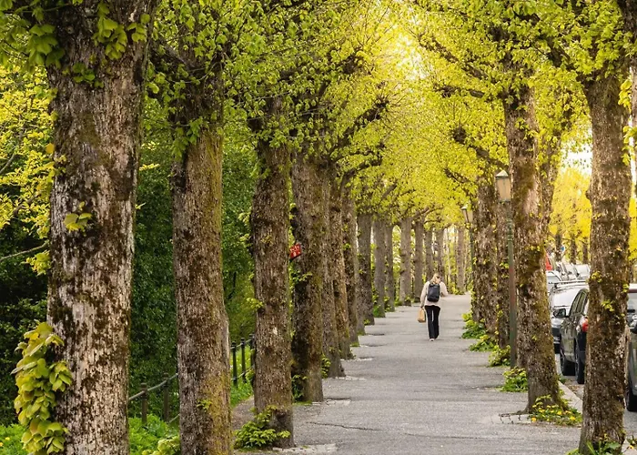 Dinbnb I Cozy Vibe In Idyllic Surroundings Appartement